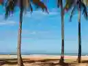 Conheça a Praia do Gonzaga, uma das mais badaladas de Santos-SP
