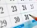 Calendário Sazonal Novembro 2022
