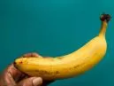 Bananeira Nanica: Um Guia Completo