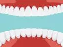 Quantos Dentes Temos na Boca? Descubra a Composição da Sua Dentadura!