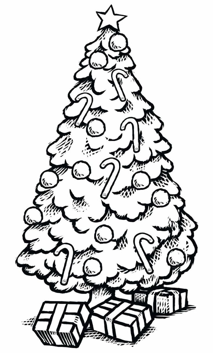 árvore de Natal para colorir