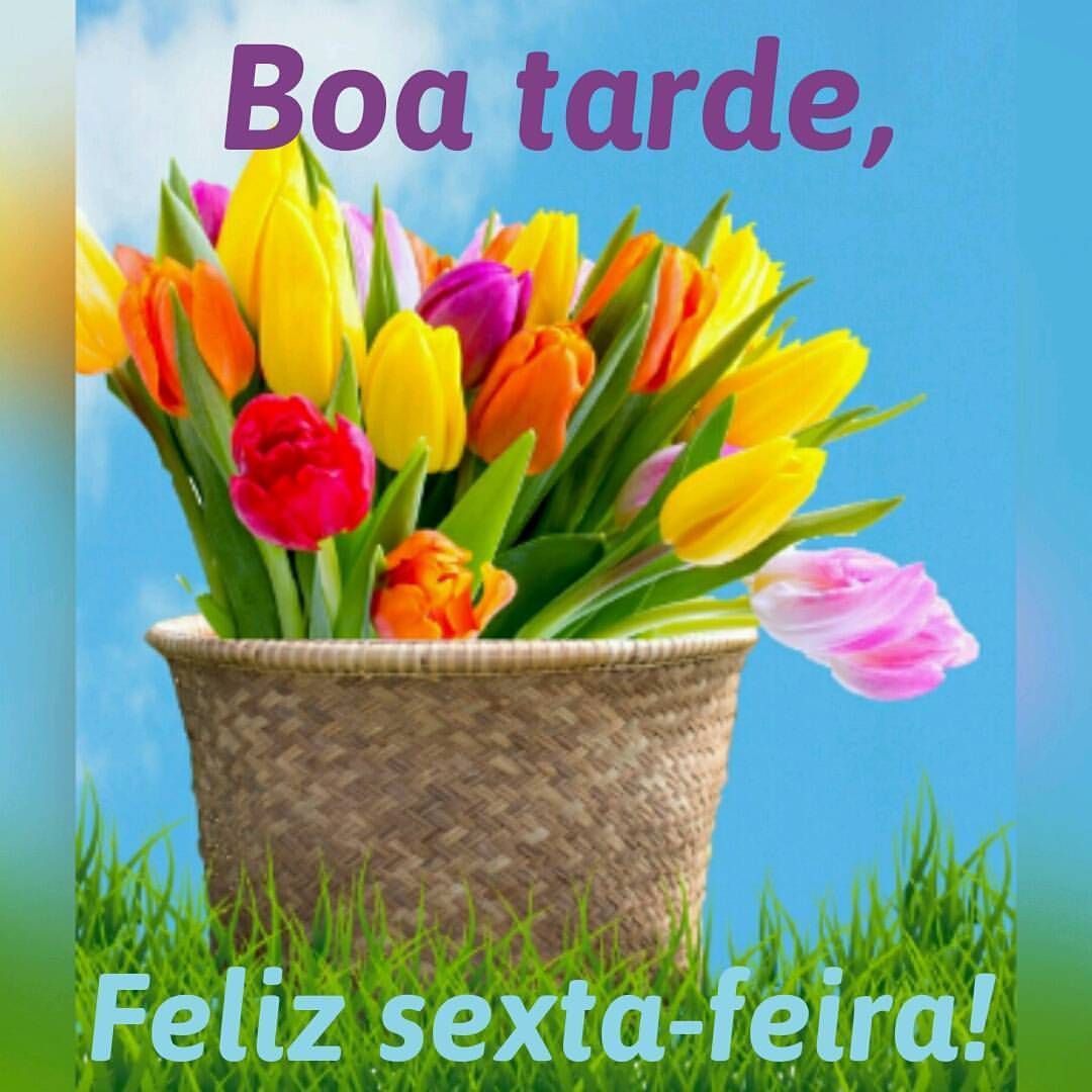 Boa Tarde Sexta Feira Frases E Imagens Focalizando