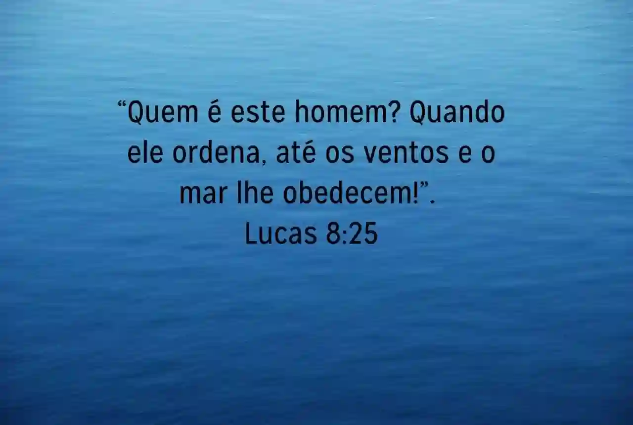 Lucas 8