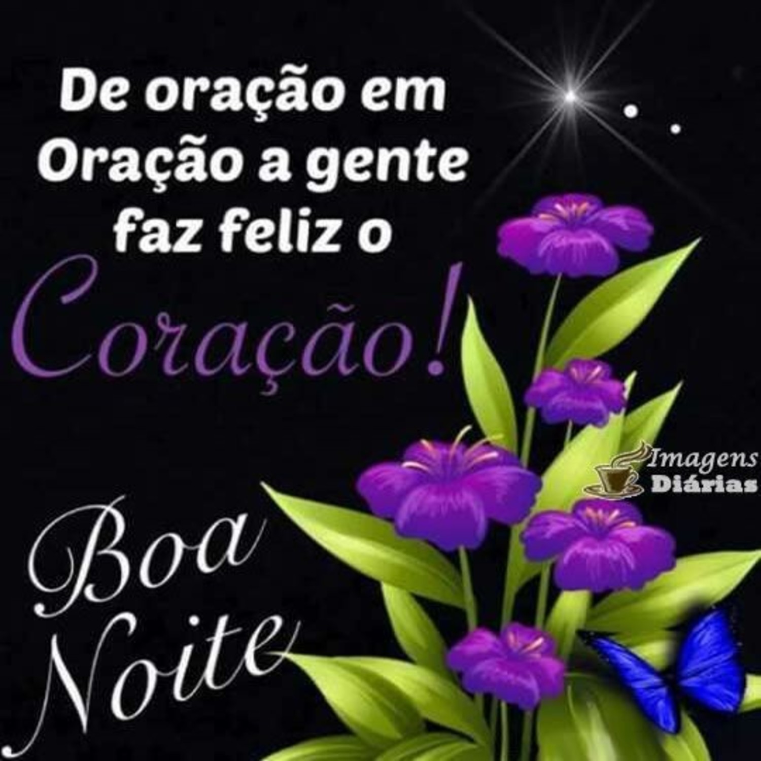 Veja Mensagens de Boa Noite com Flores | Focalizando