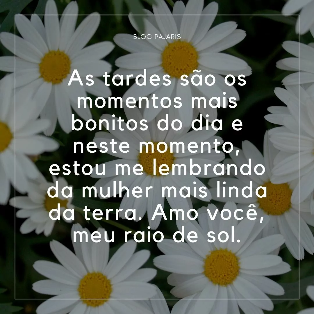 Frases E Mensagens De Boa Tarde Com Carinho Focalizando