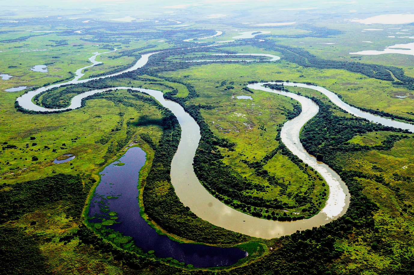 Pantanal 