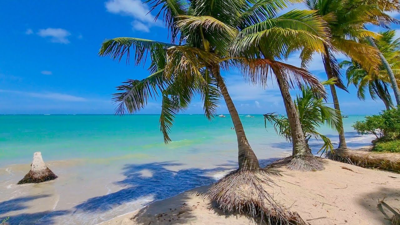 Praia do Xaréu