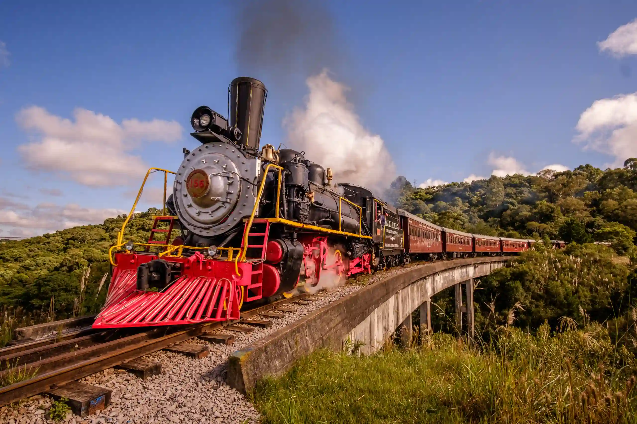 trem maria fumaça gramado