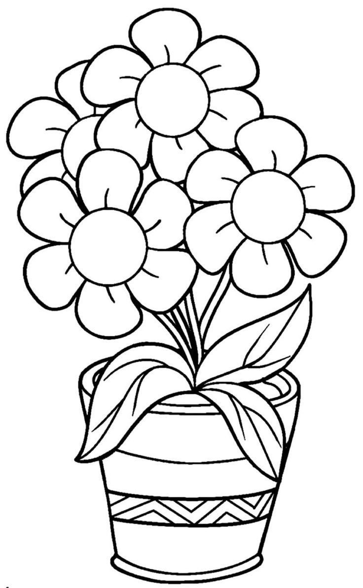 desenho de flores para colorir