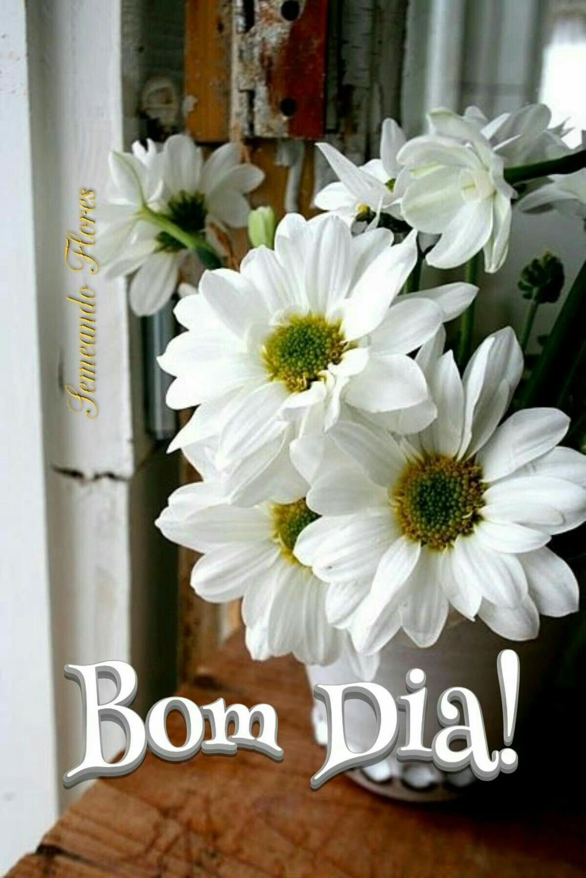 msg de bom dia com flores