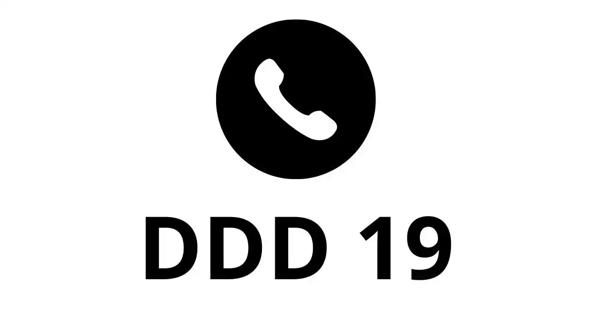 DDD 19
