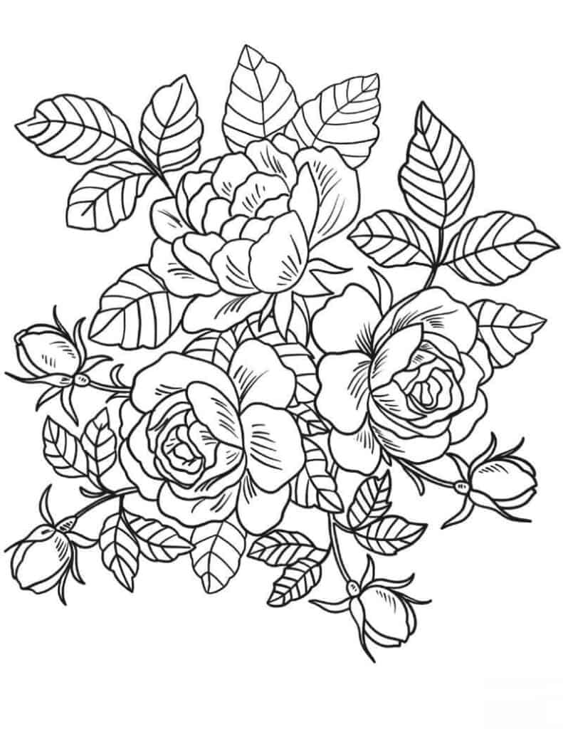 desenho flores