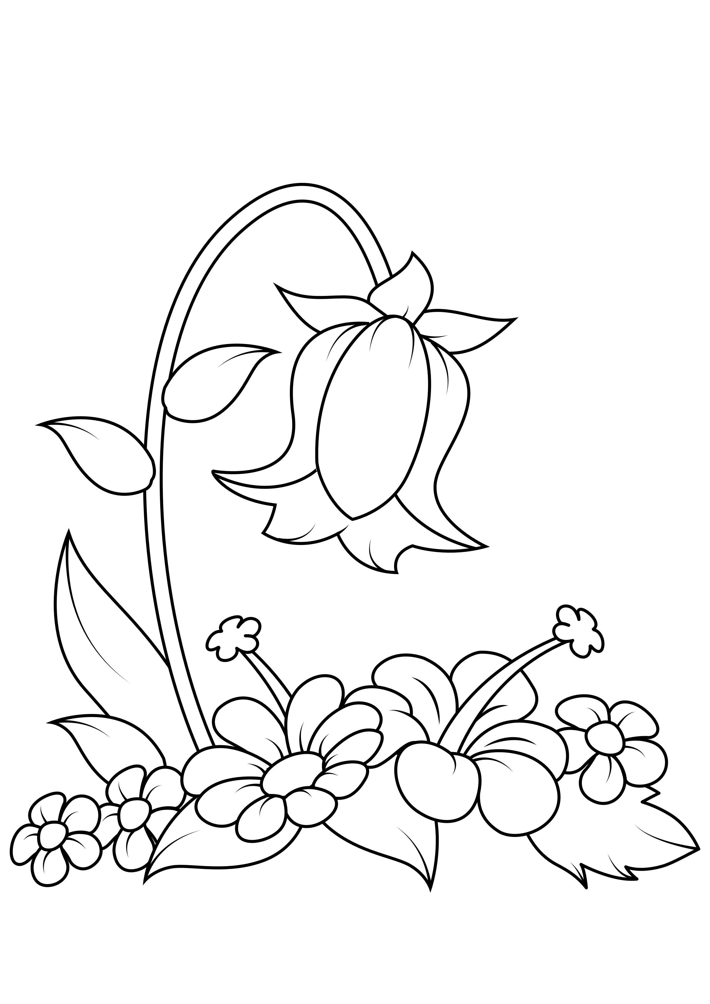 desenho flores