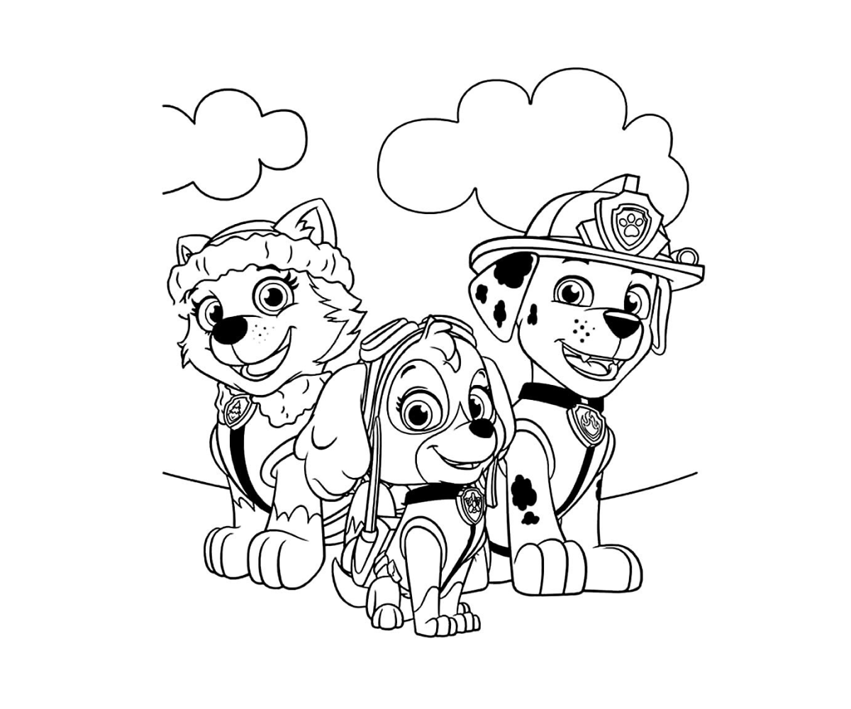 Desenho patrulha canina para colorir