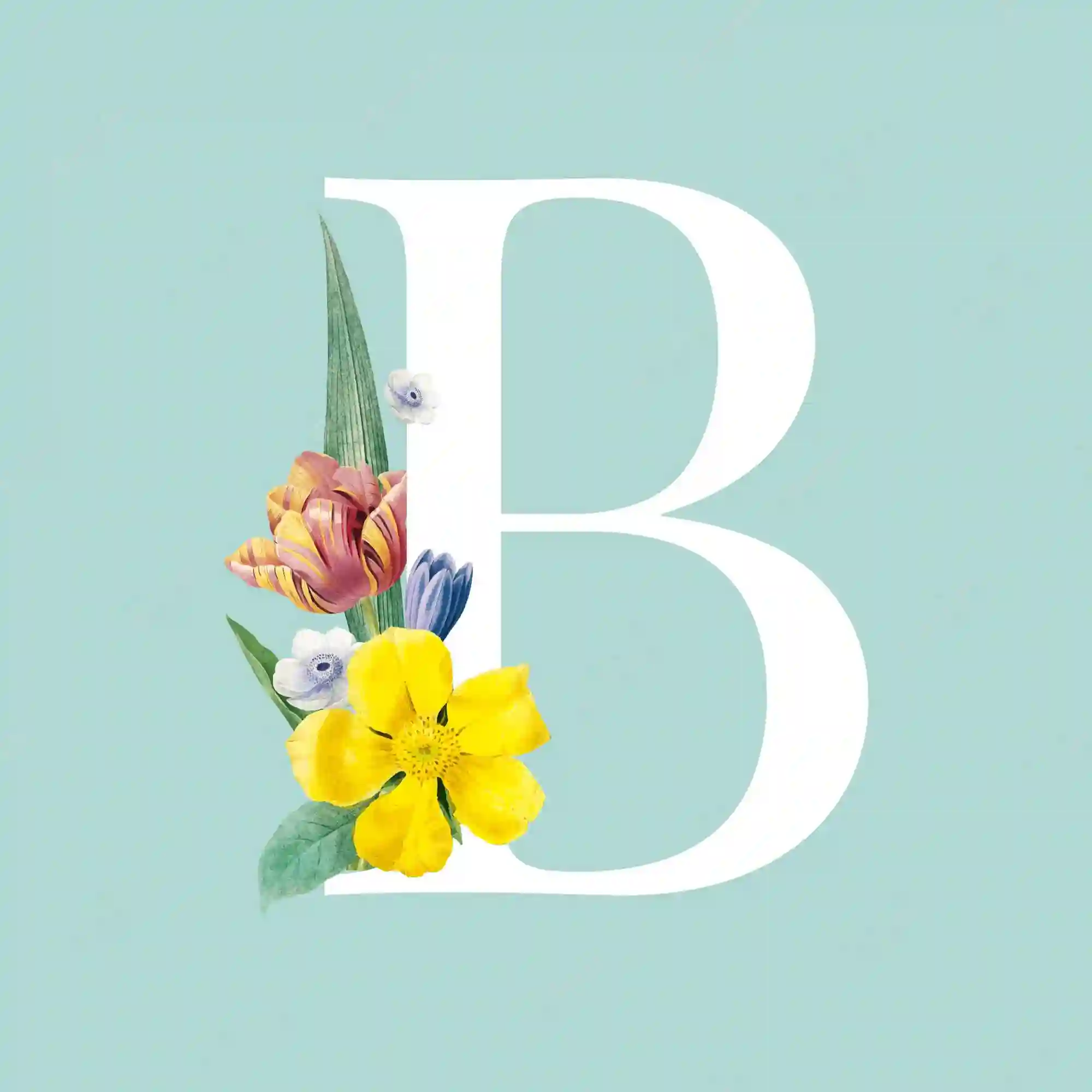 Flores com B