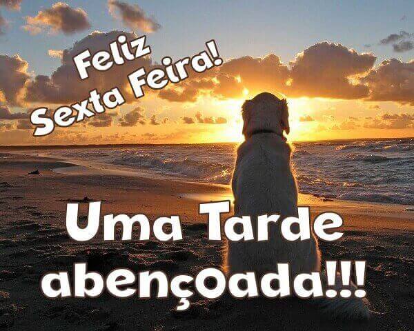 boa tarde sexta feira