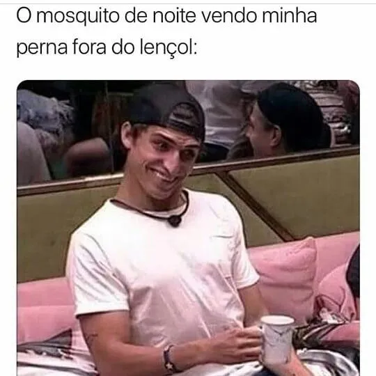 memes brasileiros