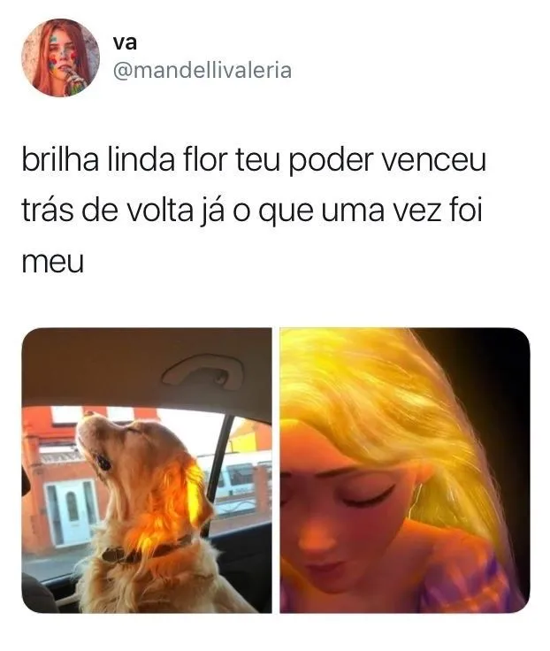 memes brasileiros