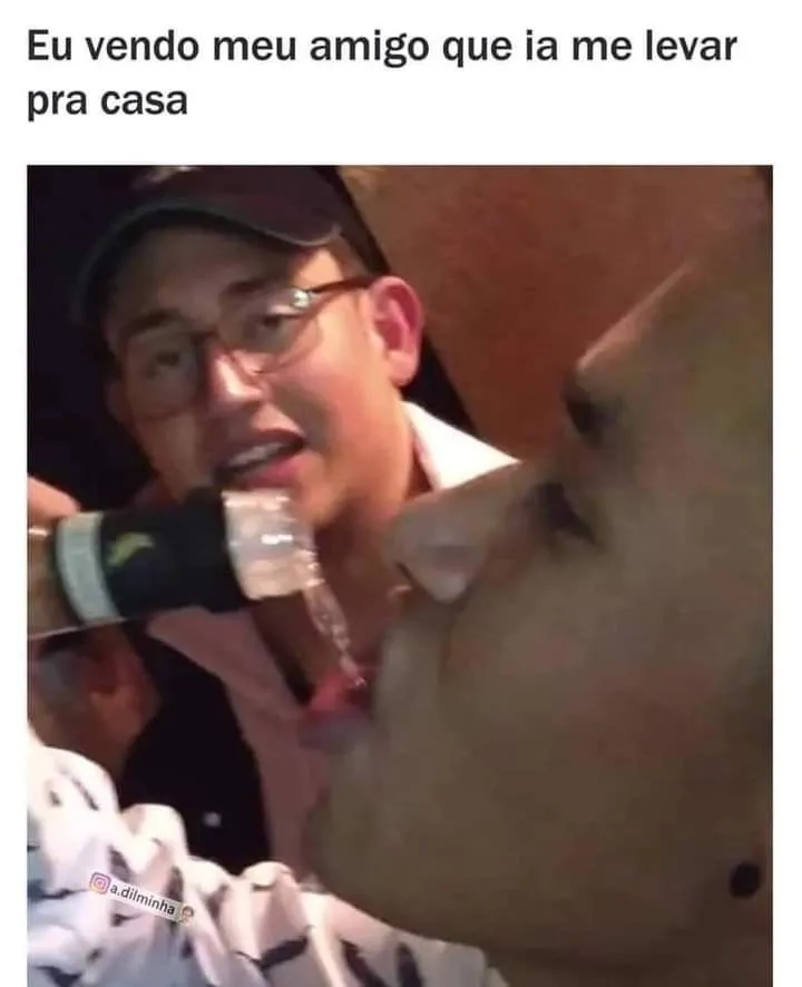 memes brasileiros