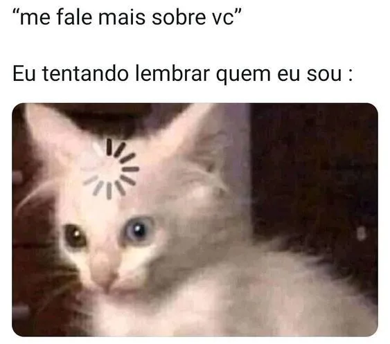 memes brasileiros