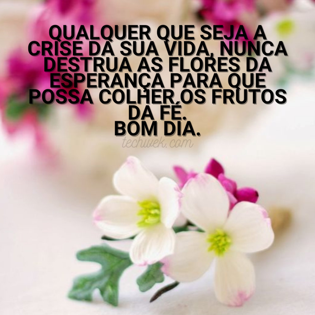 msg de bom dia com flores