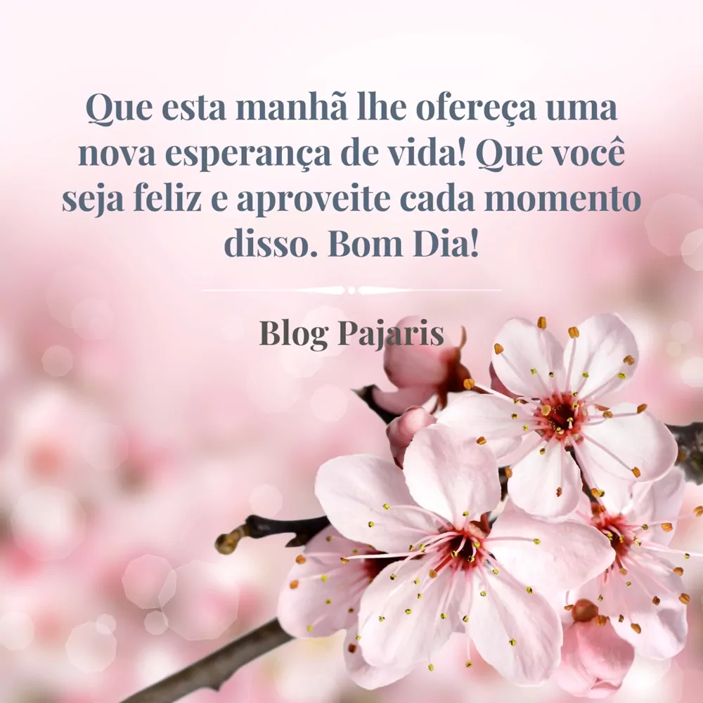 msg de bom dia com flores