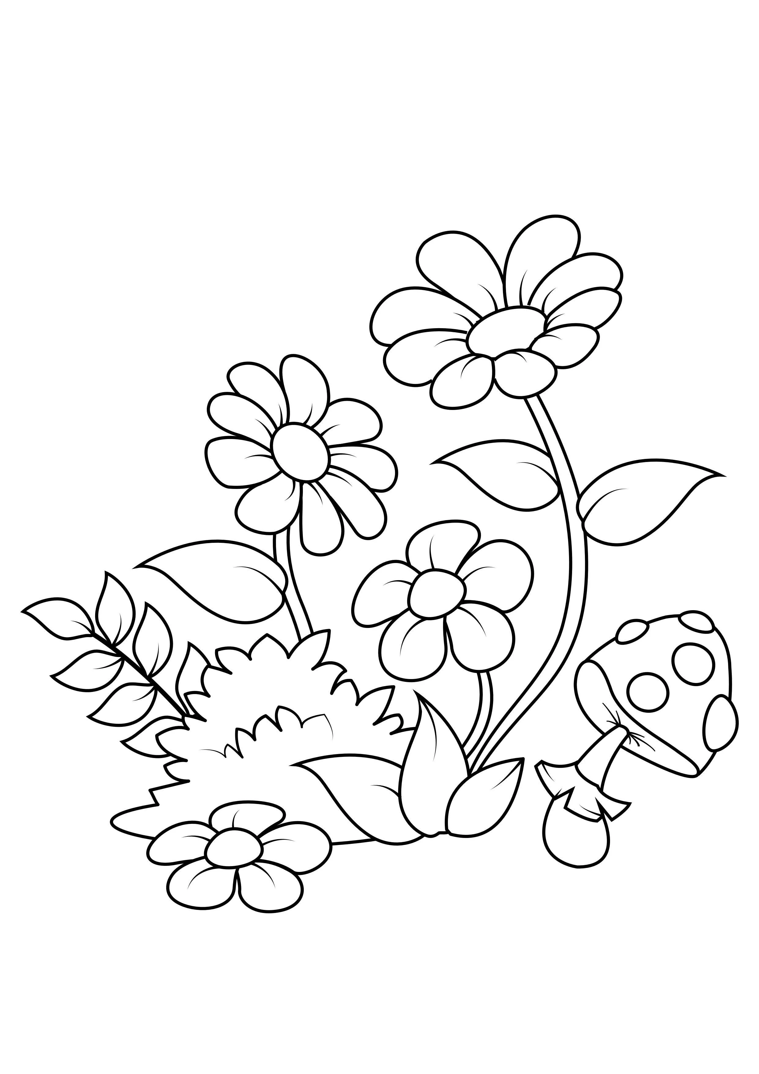 desenho de flores para colorir