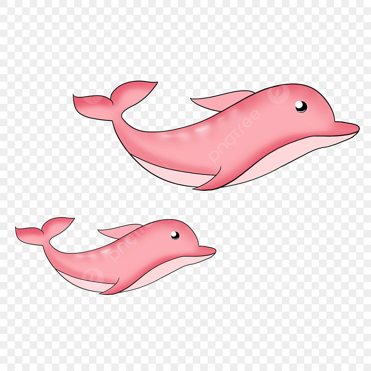 golfinho rosa png