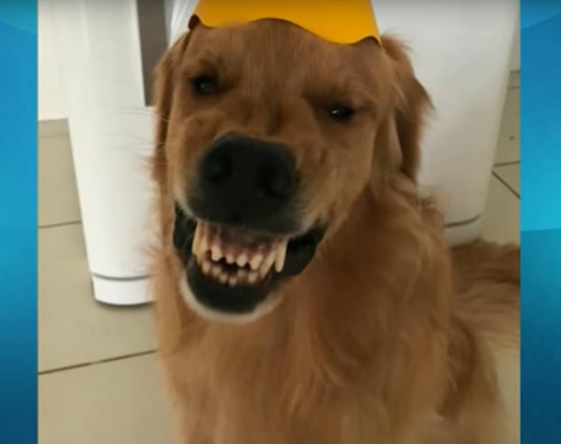Bombas De Banho Com Surpresa Para Crianças | Brinquedos Animais Dentro - Natural E Seguro
