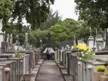 Rio terá o primeiro cemitério 'pet friendly'
