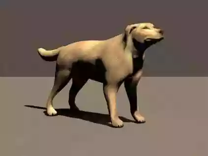 Cachorro 3D: conheça agora essa tecnologia
