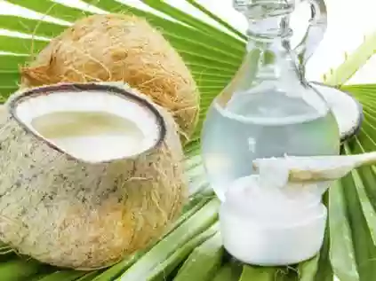 Benefícios da água de coco: confira alguns