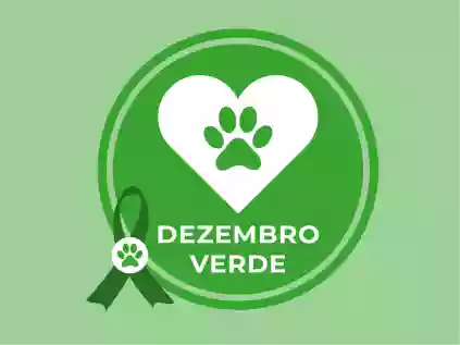 Dezembro Verde e a importância de falar sobre abandono de animais