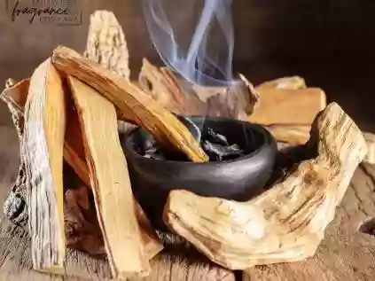 Palo Santo: A Árvore Sagrada da América do Sul