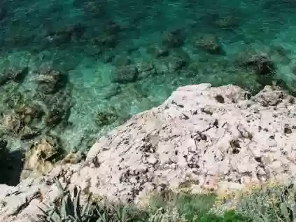 Descobrindo a Beleza Natural da Ilha Grande - Rio de Janeiro