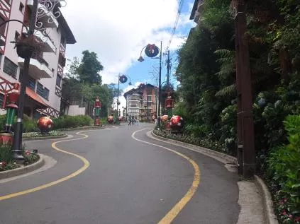 Descubra a História Encantadora por Trás da Rua Torta de Gramado