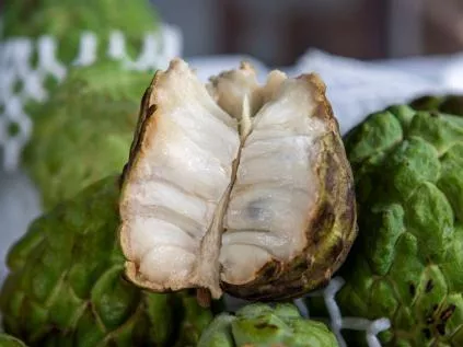 Fruta-do-Conde: O Guia Completo para Saborear e Aproveitar (Dicas Reais)