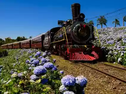 Passeio de trem Maria Fumaça em Gramado vale a pena? Confira tudo antes de ir