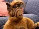 Descubra os Segredos Ocultos de 'Alf, O ETeimoso': O Alienígena Mais Adorado da TV!
