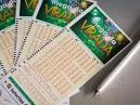 Mega da Virada: Tudo o que você precisa saber para jogar e ter a chance de mudar de vida!