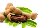 Do Quintal para o Mundo: O Guia Completo sobre o Tamarindo e seus Segredos