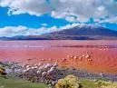 Salar do Uyuni: Guia Prático Sem Perrengues (Edição 2026)
