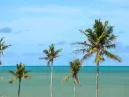 Cumuruxatiba: O Guia Completo do Paraíso rústico na Bahia