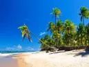 Praias do Nordeste: Guia de Viagem Definitivo com Dicas Reais